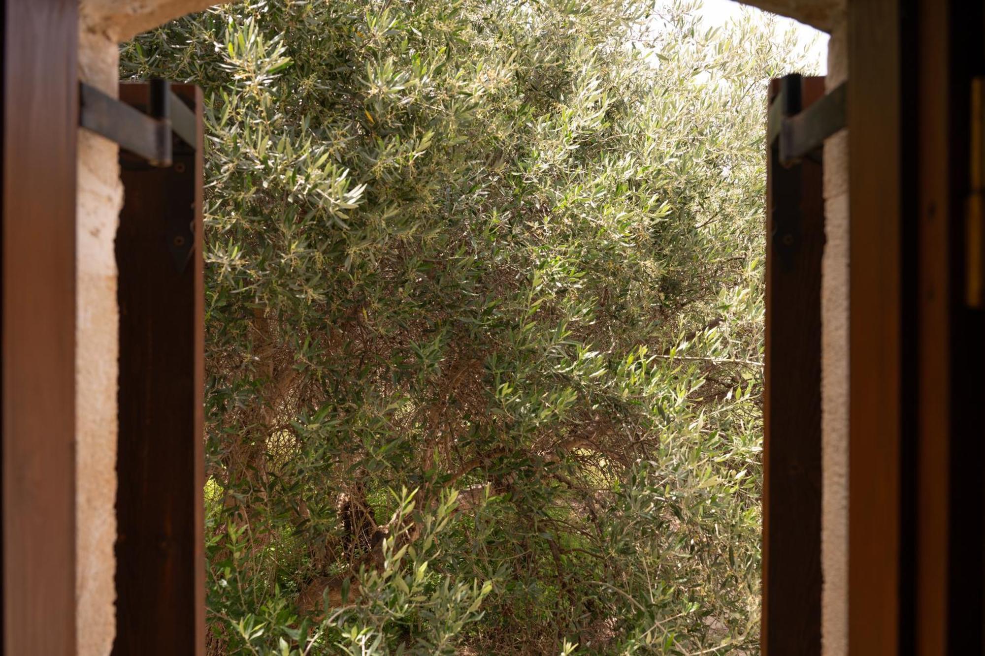 Liofito Village House Pemonia Exteriér fotografie